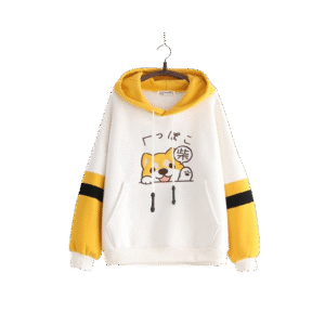 Premium Ladies winter Hoodie